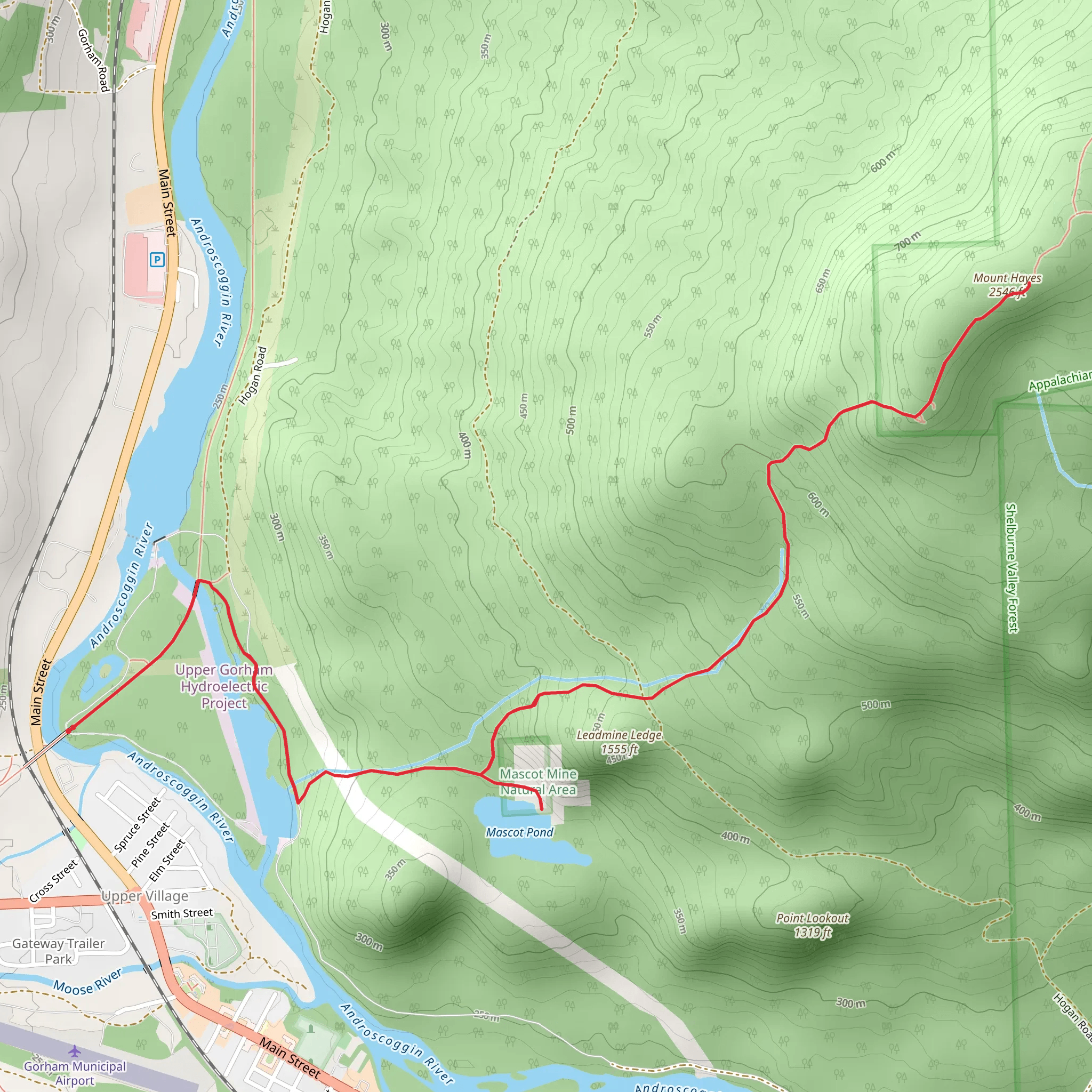 Mascot Pond and Mount Hayes Trail mobile static map