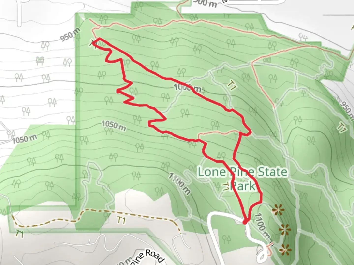 An image depicting the trail Lone Pine and Western Larch Loop Trail - Short and its surrounding area.