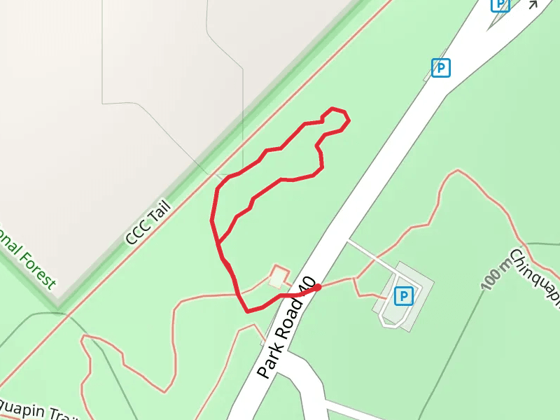 Loblolly Loop Trail