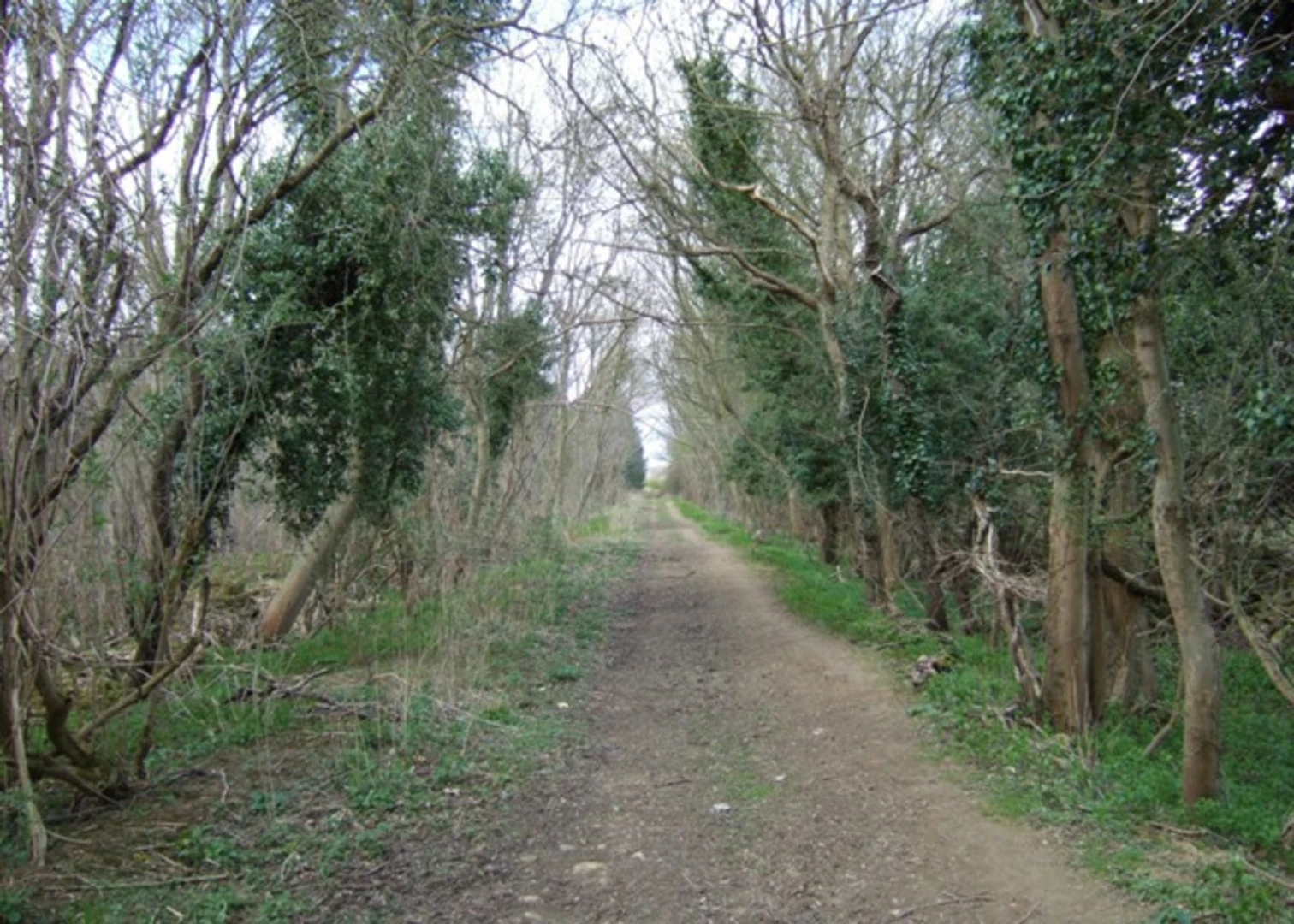 An image depicting the trail Bedford Purlieus National Nature Reserve Loop and its surrounding area.