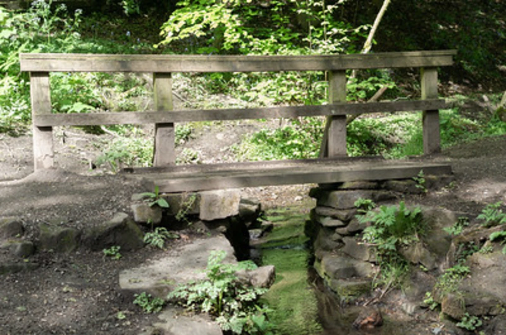 An image depicting the trail Parbold and Appley Bridge Loop and its surrounding area.