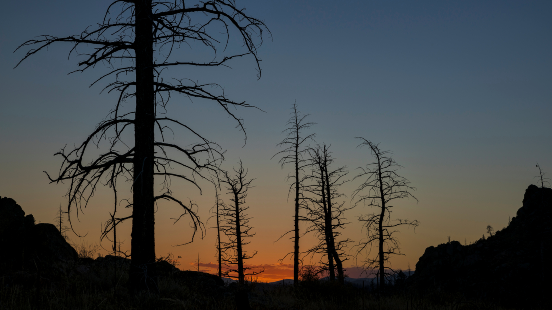 An image depicting the trail Hewlett Gulch Trail Loop and its surrounding area.