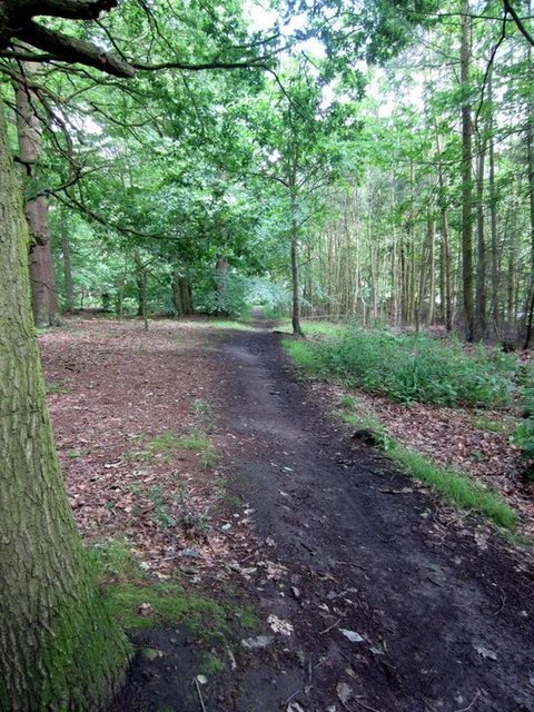 Aspley Woods Loop