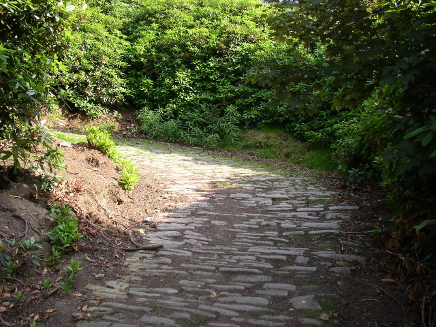 An image depicting the trail Halifax - The Magna via and Southowram and its surrounding area.