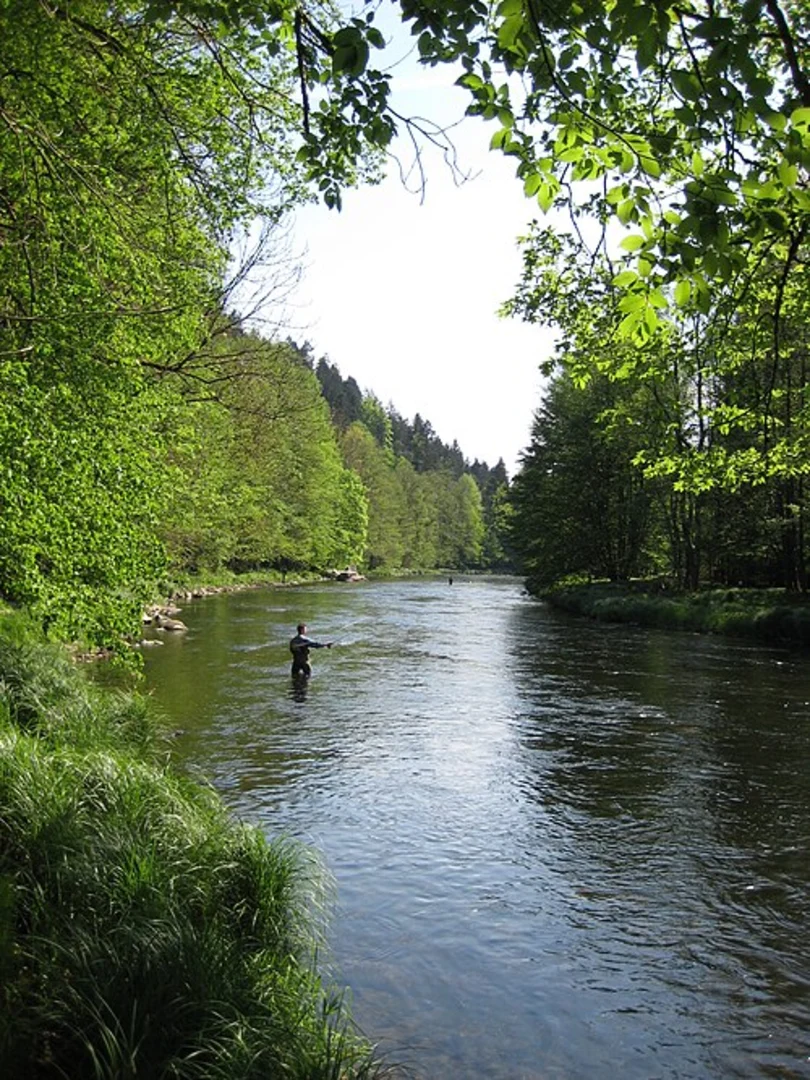 An image depicting the trail Fürstenecker Triftsteig and its surrounding area.