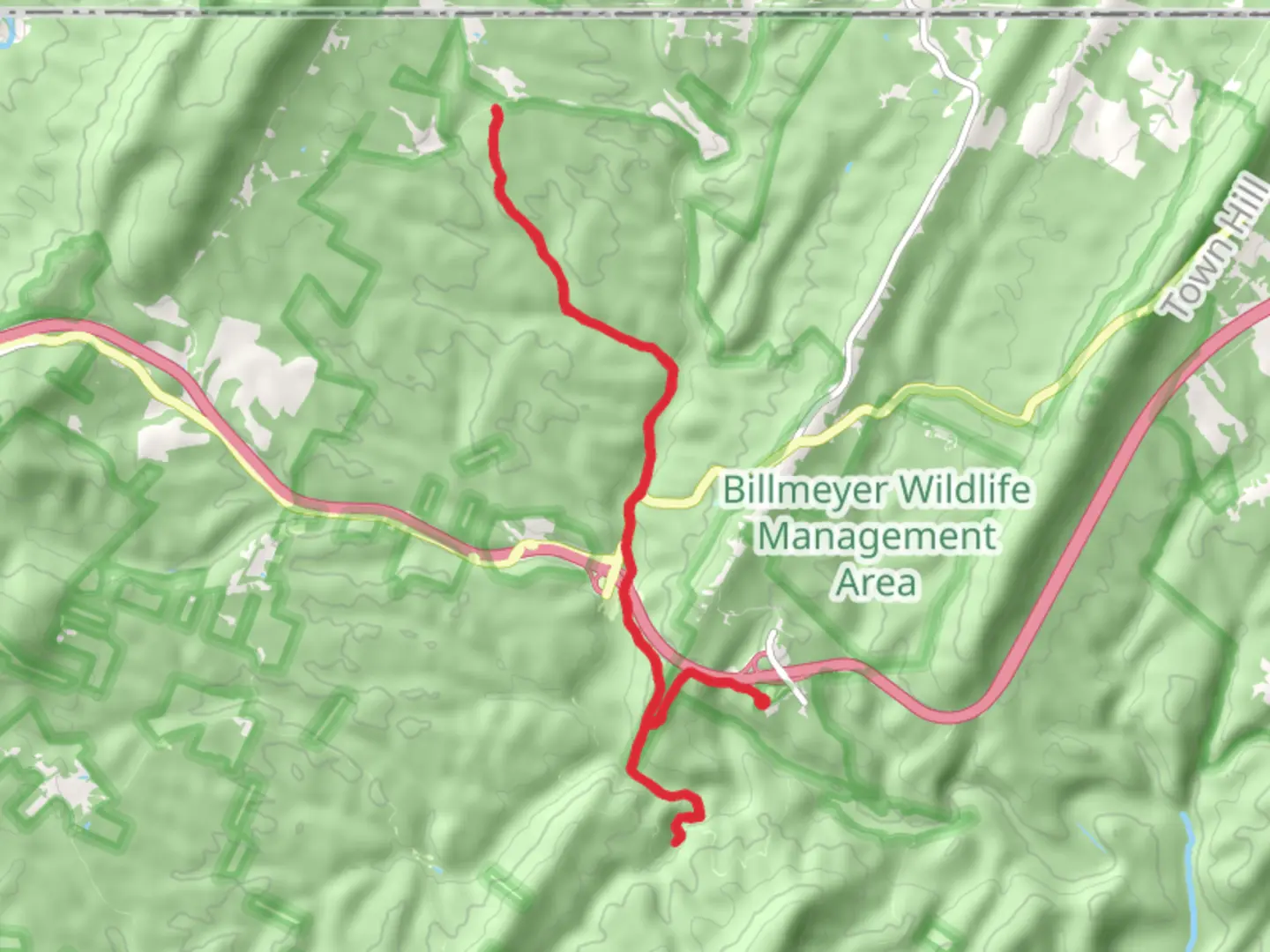 An image depicting the trail Pine Lick Trail and Fifteenmile Creek and its surrounding area.