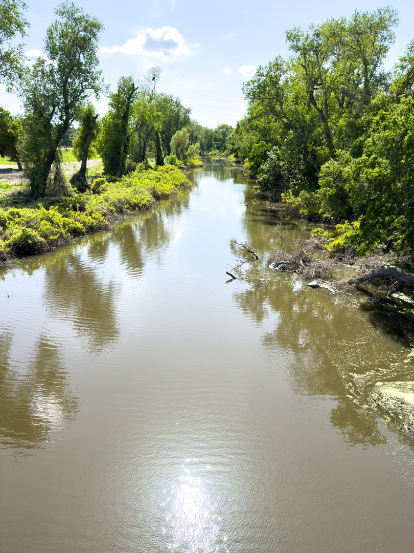 An image depicting the trail Laguna Creek and its surrounding area.