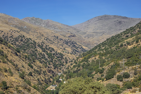 La Cebadilla PR A 69