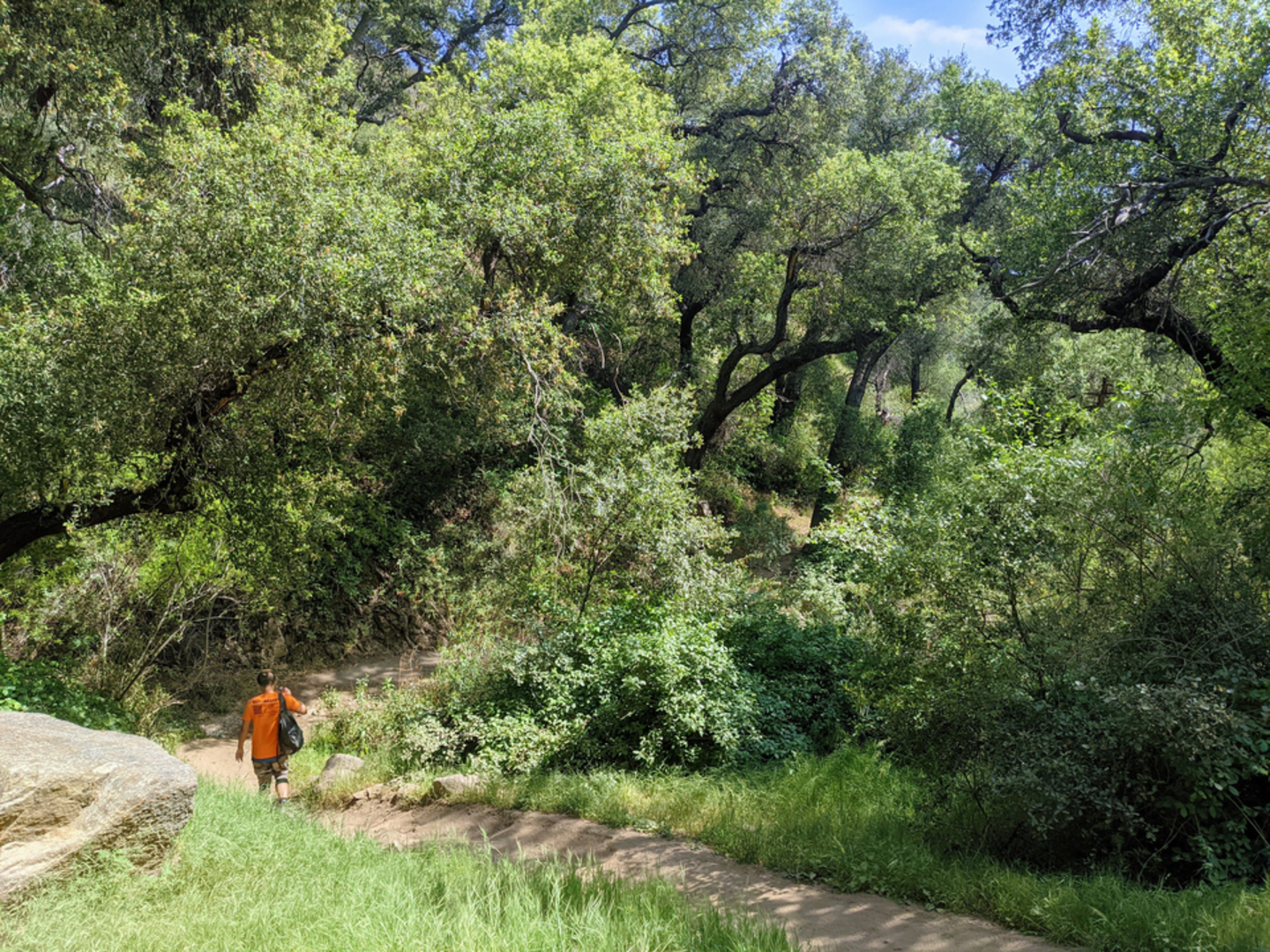 An image depicting the trail El Prieto Trail via Gabrielino Trail and its surrounding area.