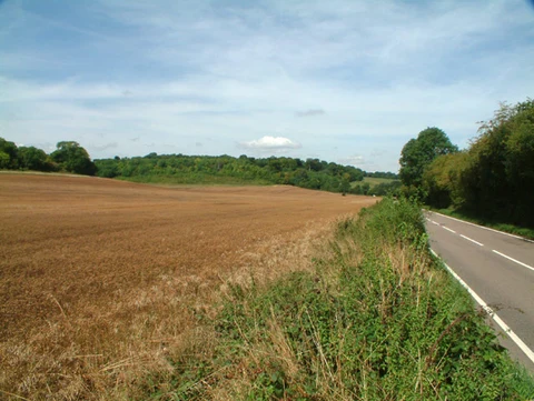 Highham's Hill and Jewels Wood
