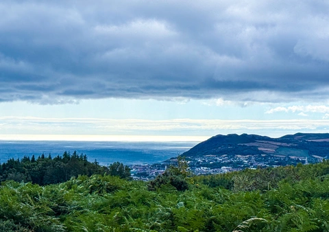 Ballycorus Lead Mine Loop Walk