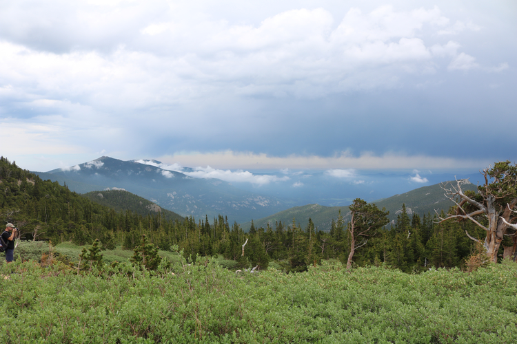 Alpine Garden Loop Trail