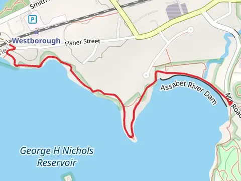 George H Nichols Reservoir via Charm Bracelet Trail