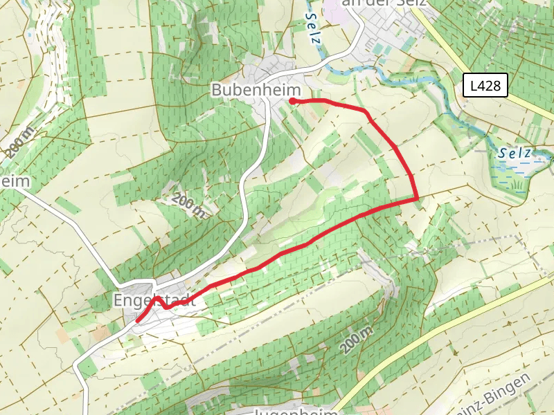 Bubenheim to Engelstadt via Bubenheim Selzwanderweg