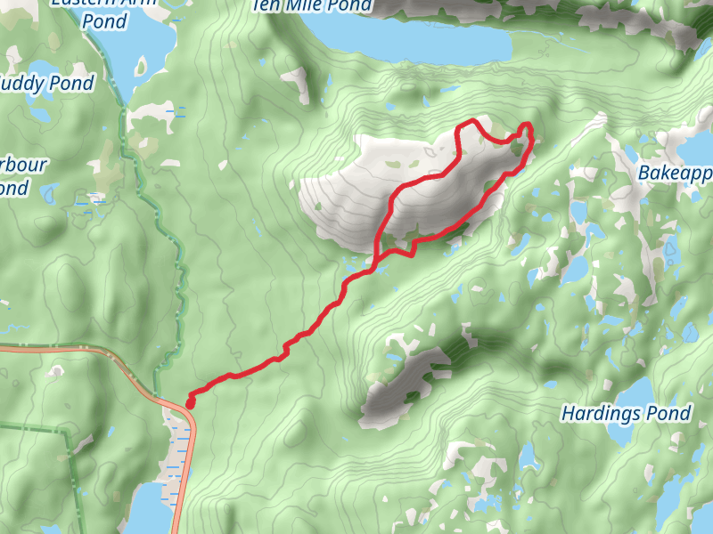Gros Morne Mountain Trail