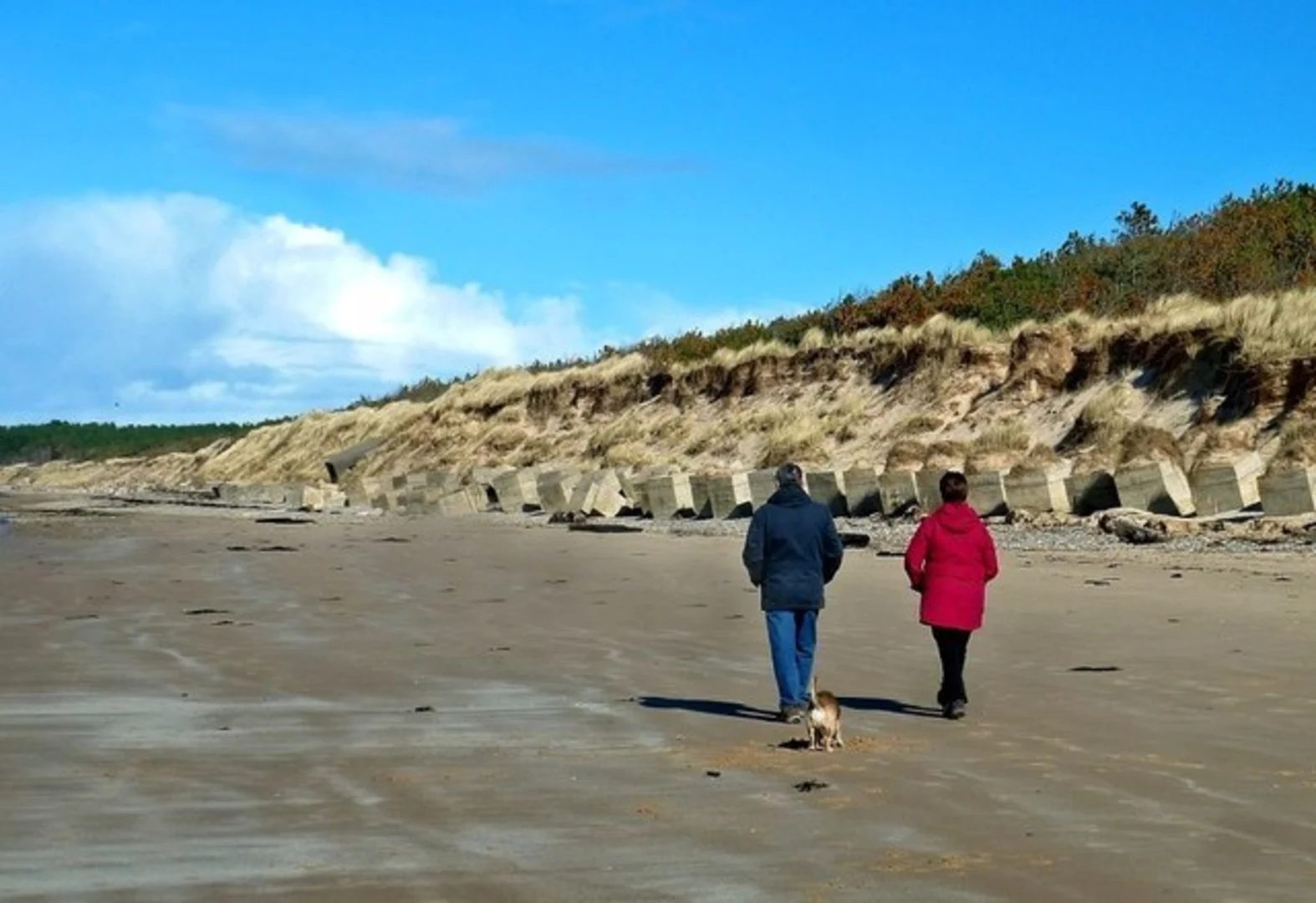 An image depicting the trail Roseisle Country Park Wildlife Loop Walk and its surrounding area.