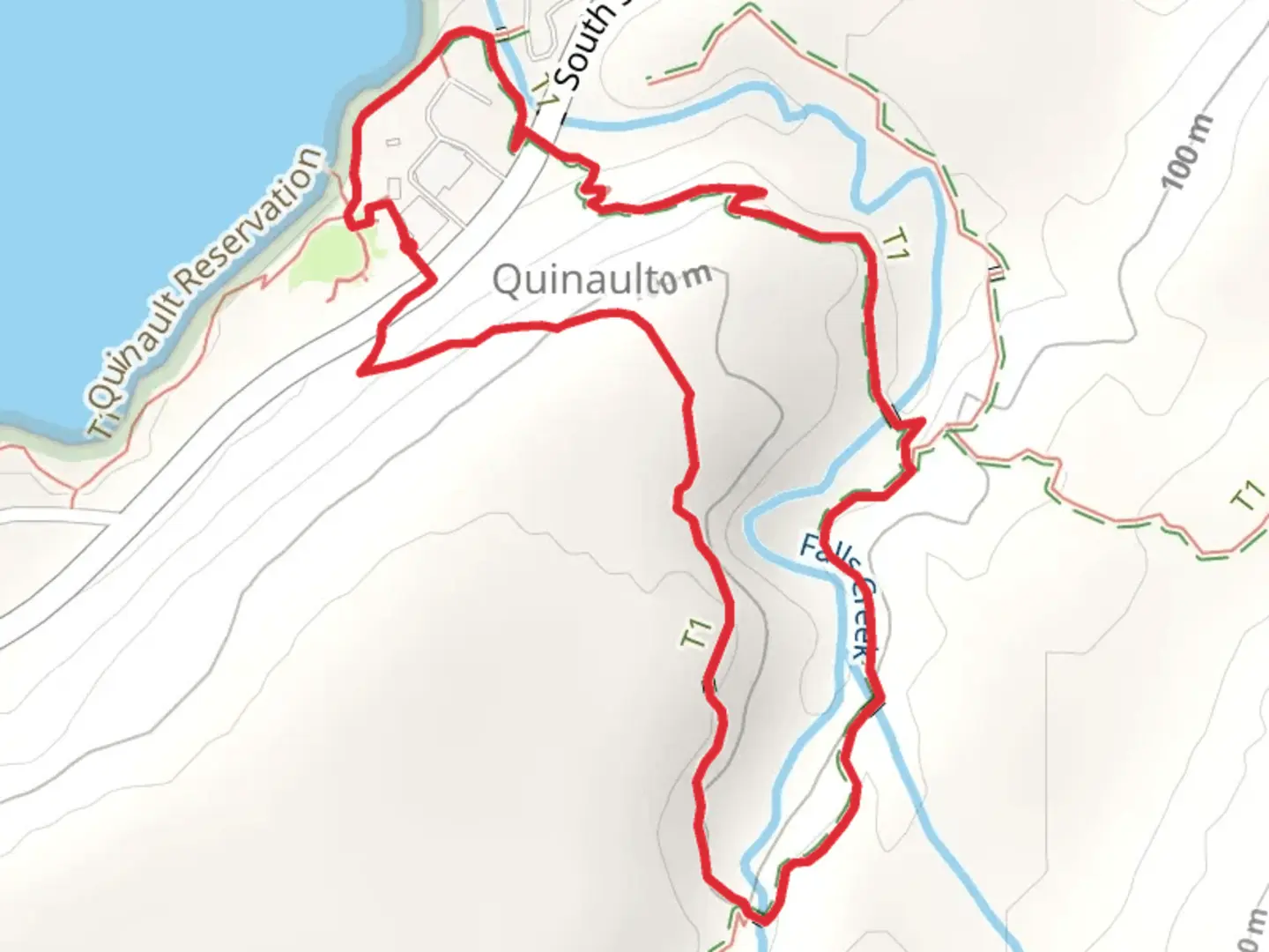 An image depicting the trail Quinault Loop Trail - Short and its surrounding area.