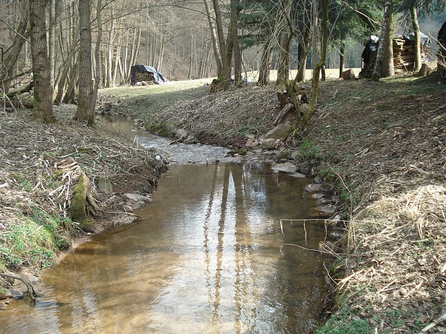 An image depicting the trail Degen Weg and Krombach Loop and its surrounding area.