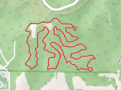 Sycamore Loop