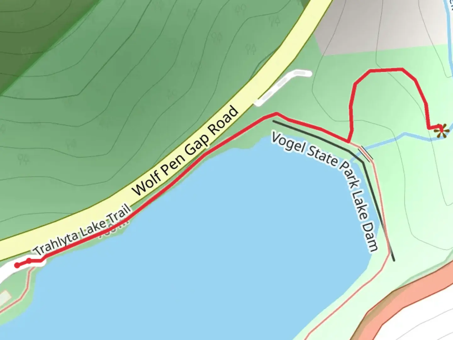 An image depicting the trail Vogel State Park Road and its surrounding area.