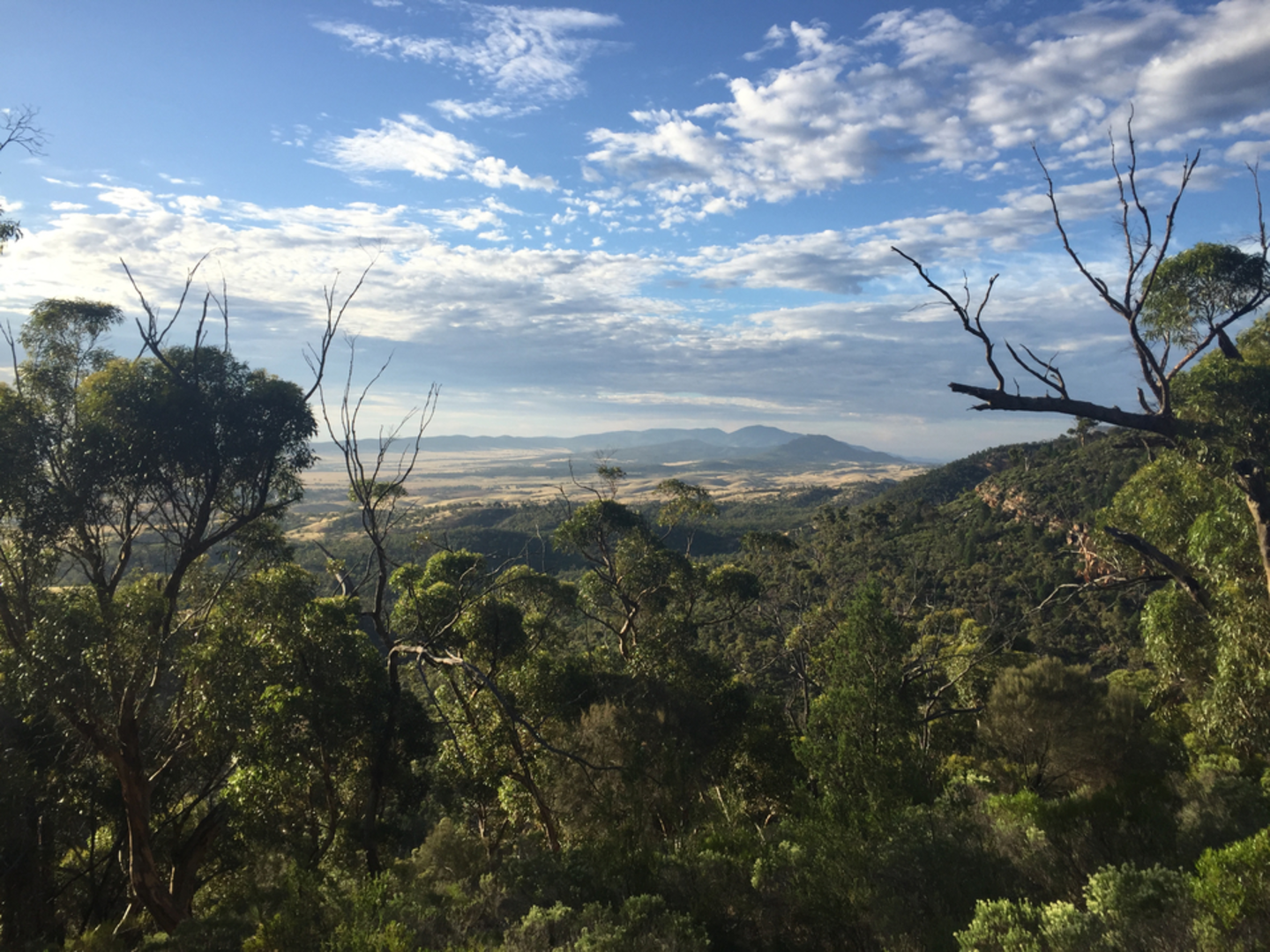 An image depicting the trail The Dutchmans Stern Hike and its surrounding area.