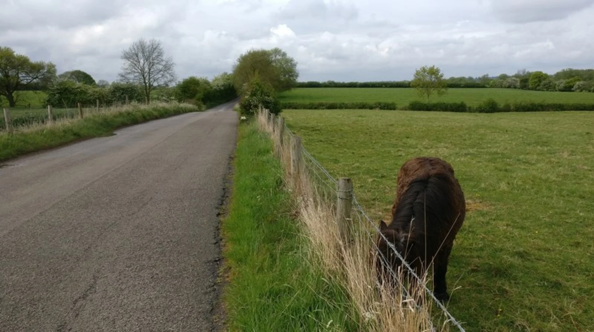 An image depicting the trail Peatling Magna from Countesthorpe and its surrounding area.