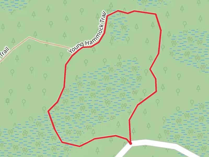 Young Hammock Loop Trail