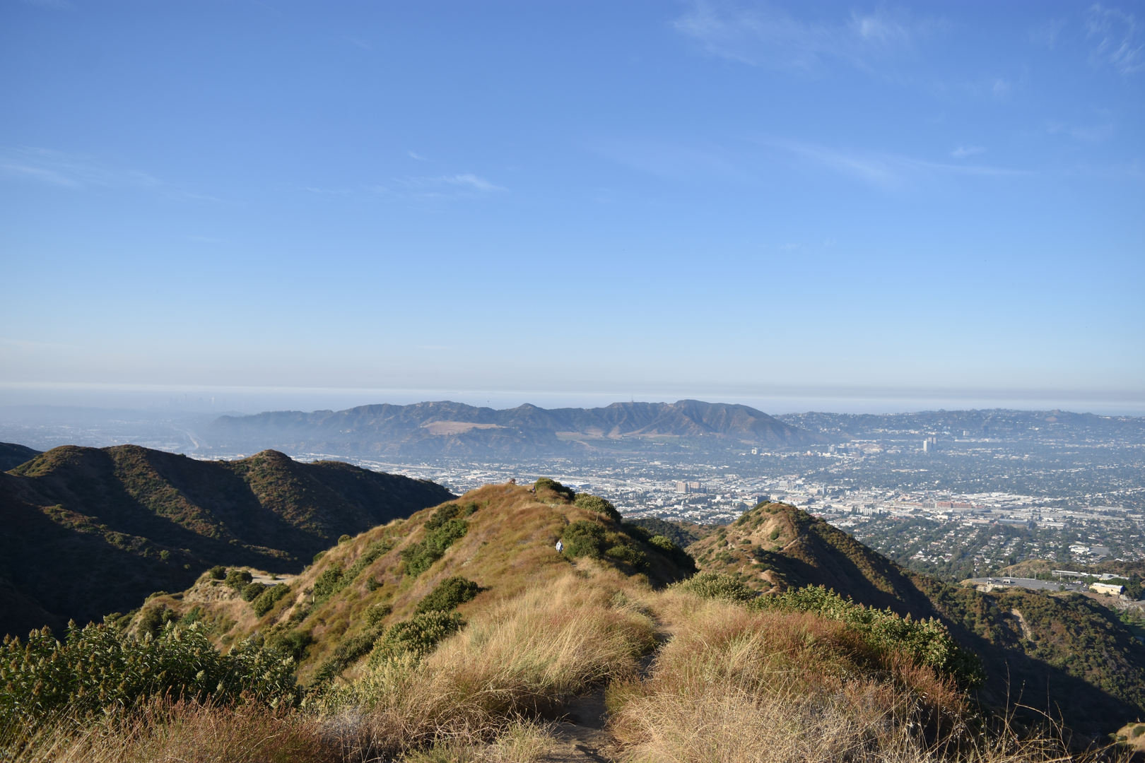 An image depicting the trail Wildwood Canyon Road Loop and its surrounding area.