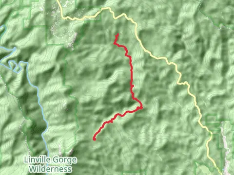 Mountains-to-Sea Trail from Rich Cove Road