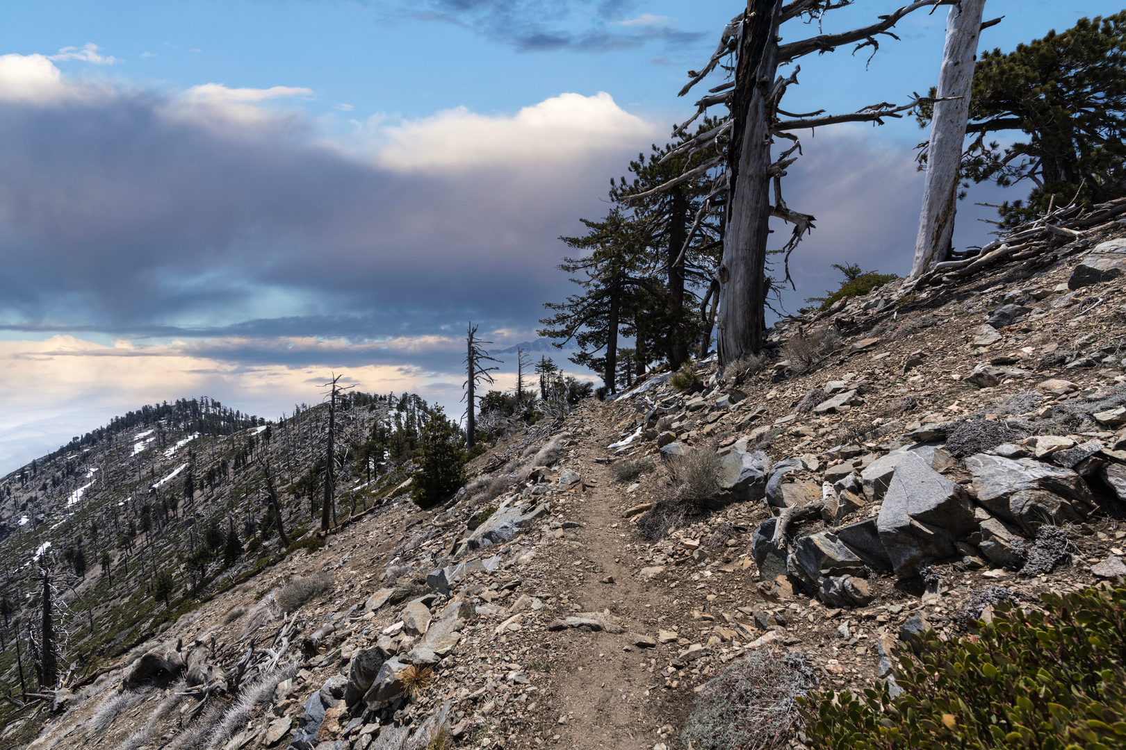 An image depicting the trail Pacific Crest Trail via Islip Saddle and its surrounding area.