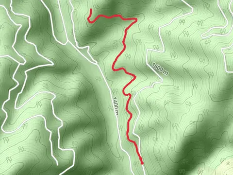 Eastside Piquett Trail