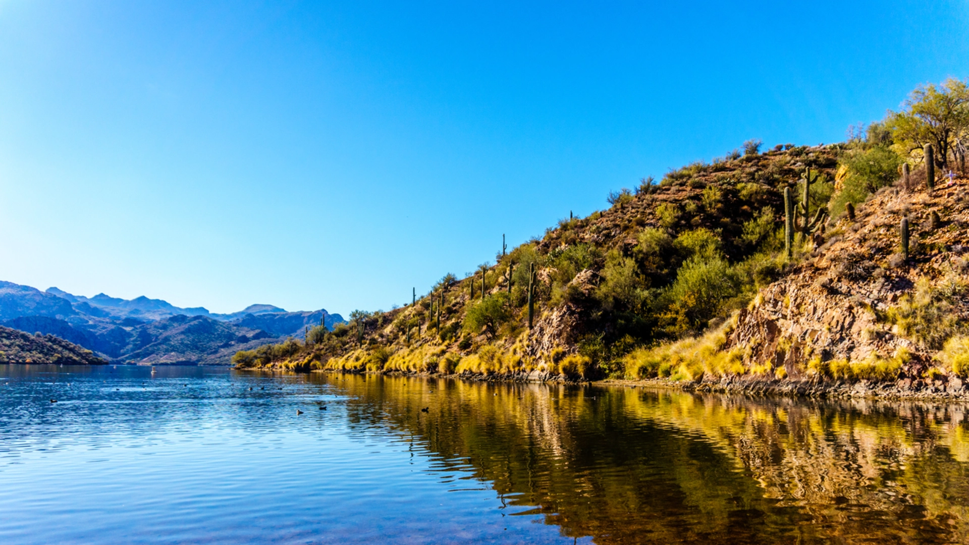 An image depicting the trail Saguaro Lake Vista Trail and its surrounding area.