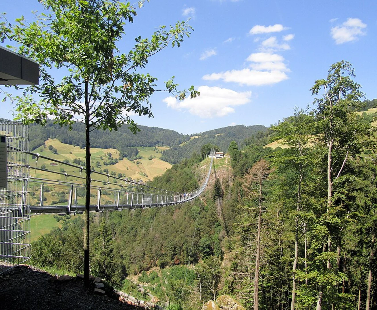An image depicting the trail Auf dem Burgberg and Herges Garten via Saar Hunsrueck Steig and its surrounding area.