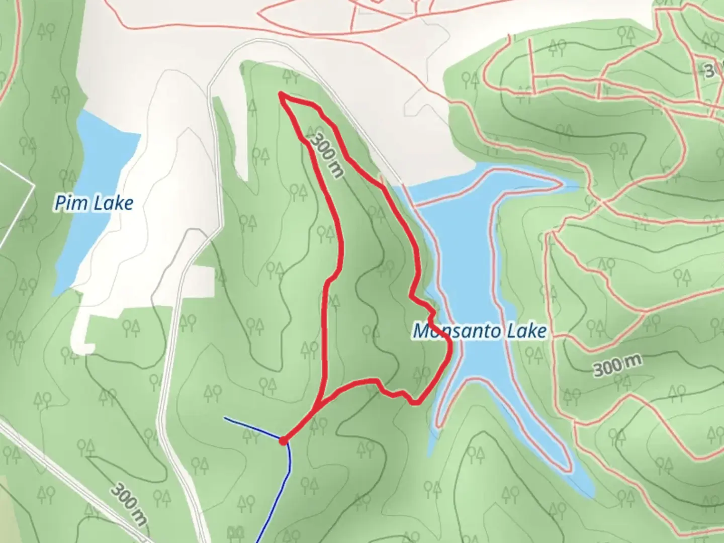 An image depicting the trail Lakeview Loop Trail and its surrounding area.