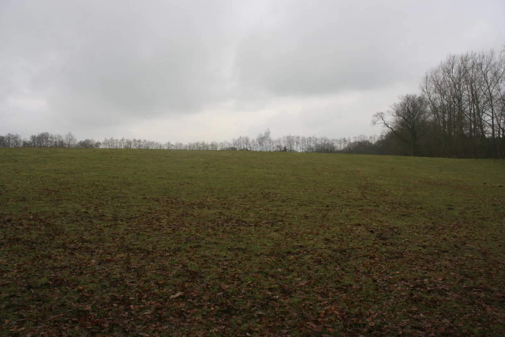 An image depicting the trail Spring Wood and Old Furzefield Wood Loop and its surrounding area.
