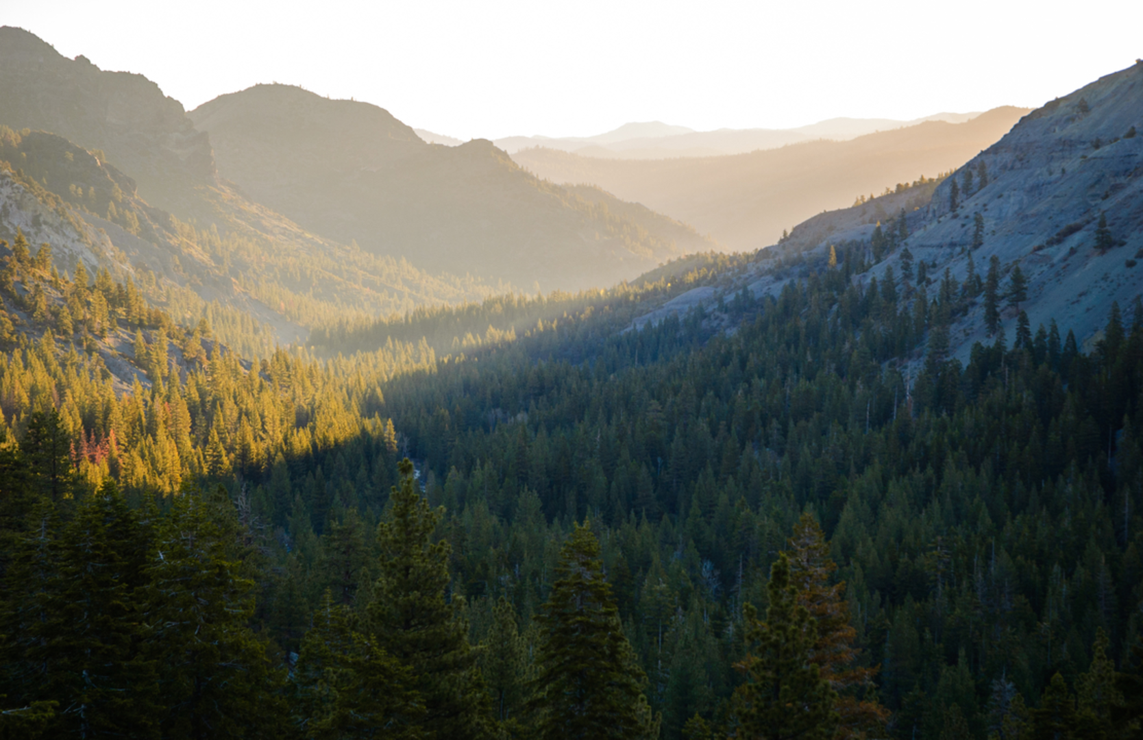 An image depicting the trail Groundhog Meadow and Grouse Lake via Crabtree Trail and Bell Meadow Trail and its surrounding area.