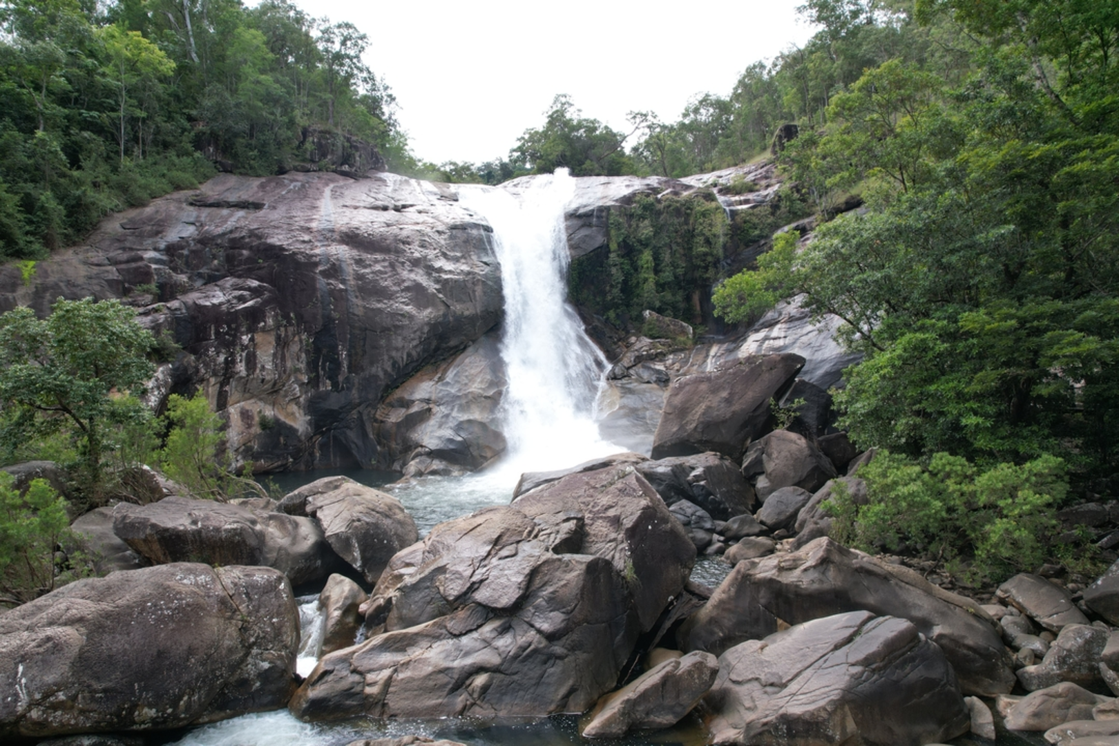 An image depicting the trail Yalgay Ginja Bulumi Walk and its surrounding area.