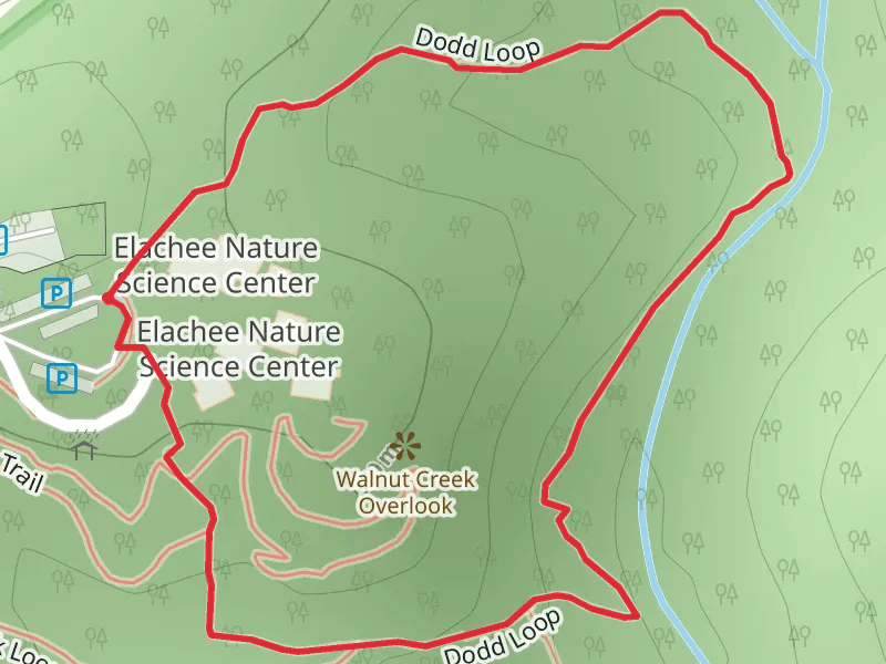 Dodd Loop