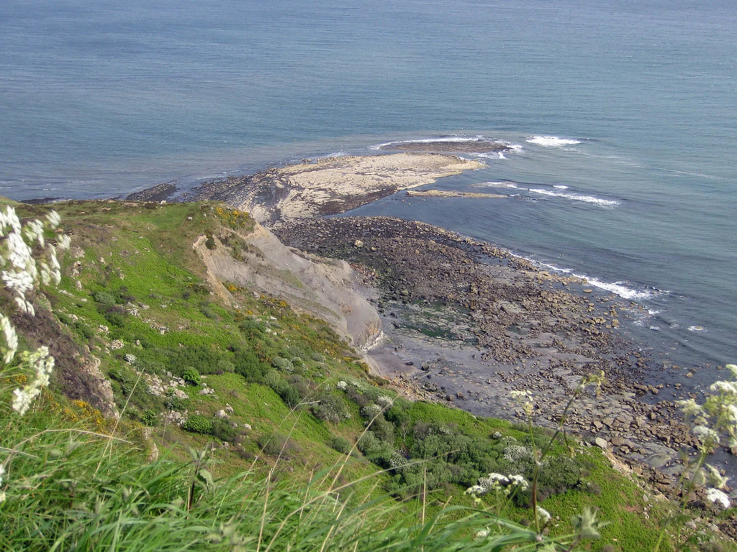Ravenscar Cliff Walk | North Yorkshire | England