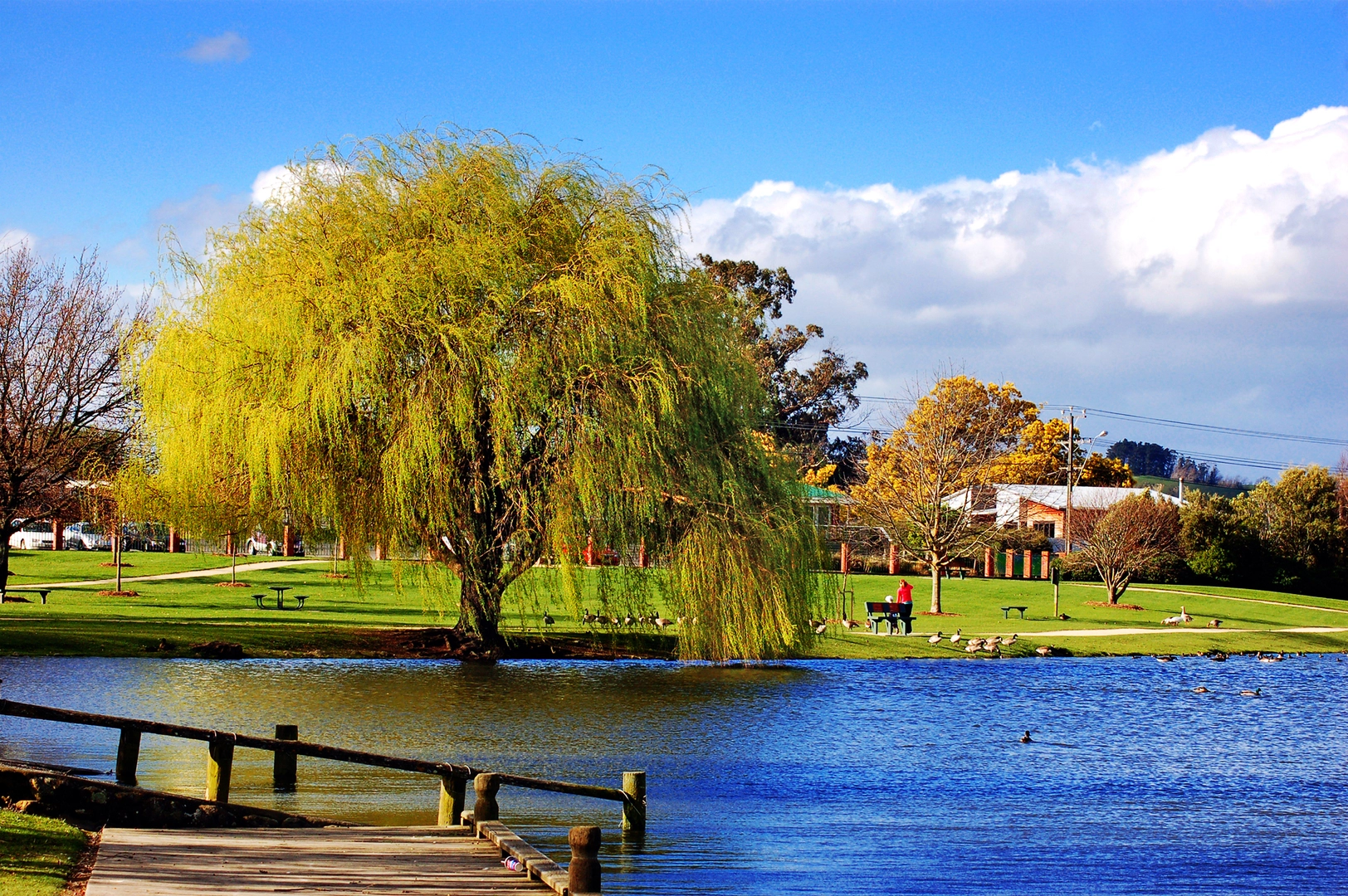 An image depicting the trail Henley Lake Waterways and its surrounding area.
