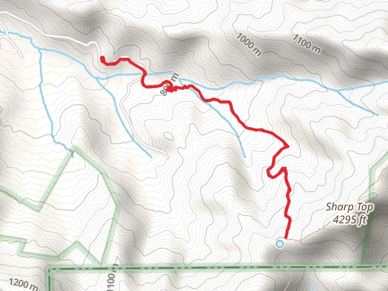 Bly Gap Trail