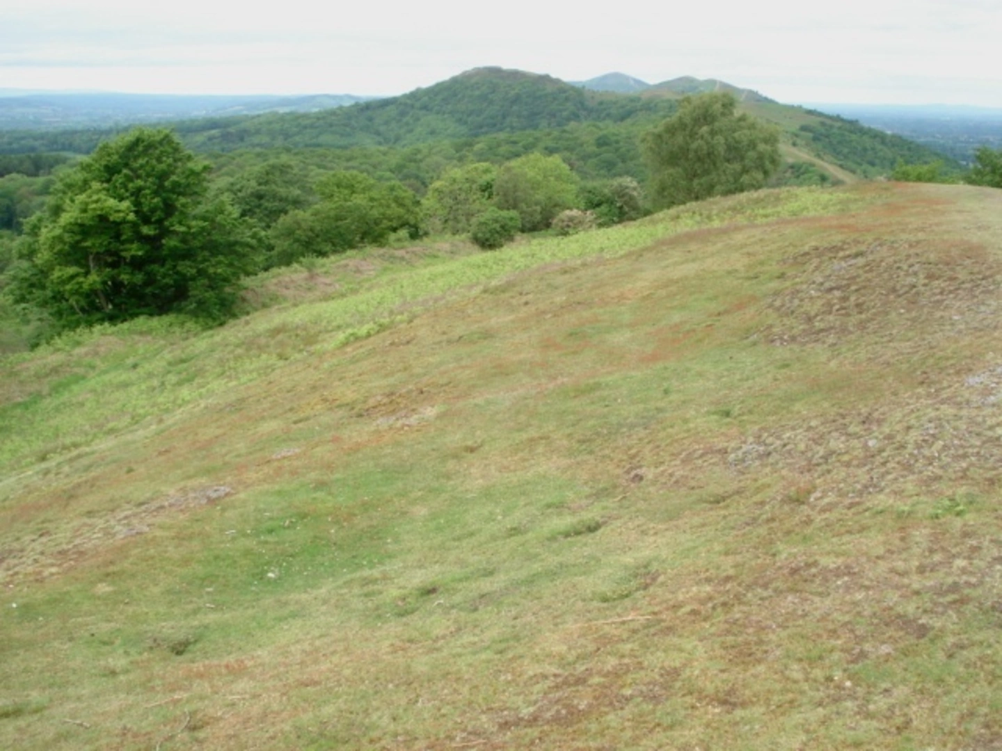 An image depicting the trail Eastnor Deer Park and its surrounding area.