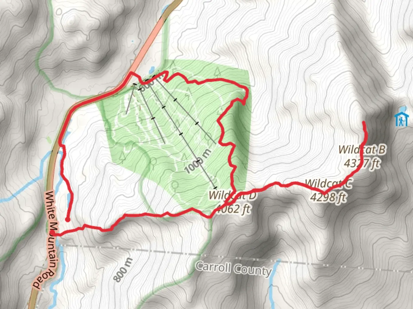 An image depicting the trail Wildcat Mountain Loop via Glen Ellis Falls Trail and its surrounding area.