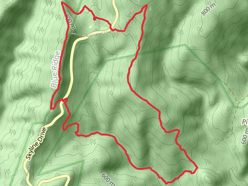 Thornton River Upper Trail and Piney Ridge Loop