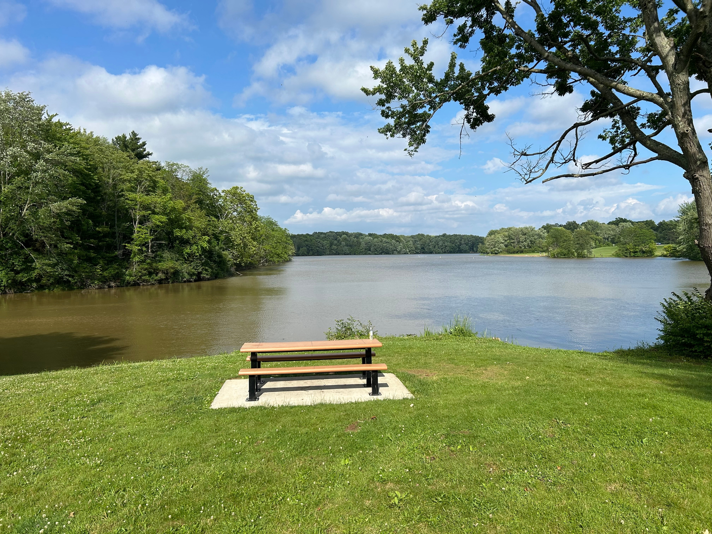 An image depicting the trail Stonelick Lake via Blue Heron Trail and its surrounding area.