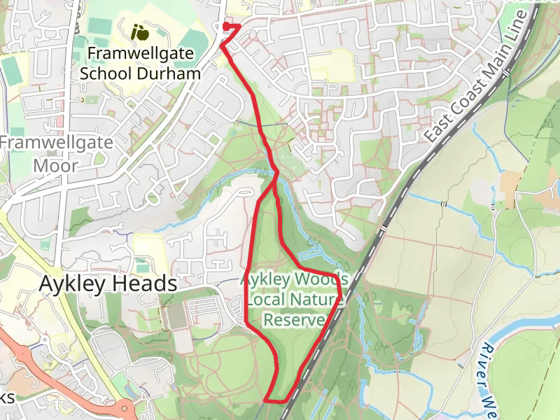 Aykley Wood Nature Reserve