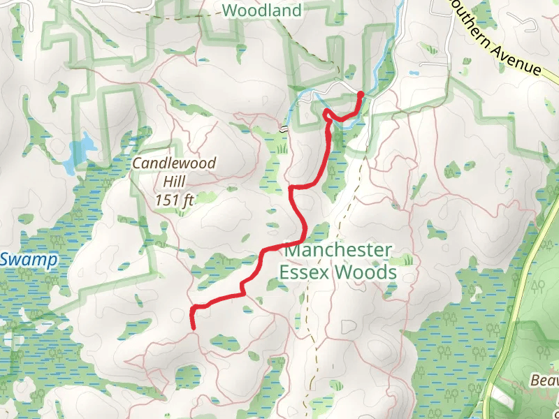 Homestead Trail from Andrews Street