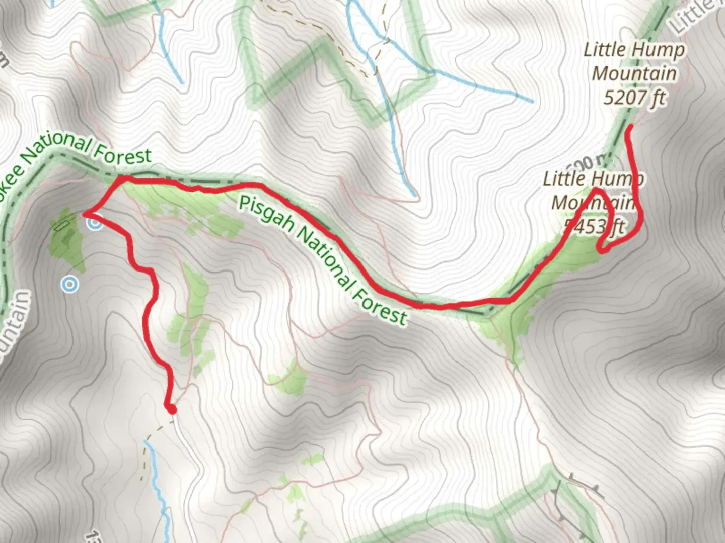An image depicting the trail Little Hump Mountain and its surrounding area.