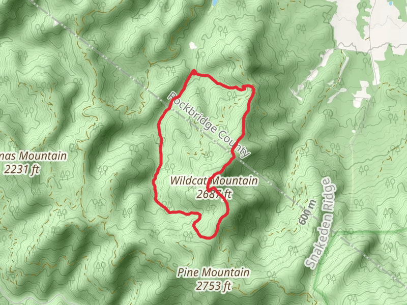 Wildcat Mountain Loop Trail