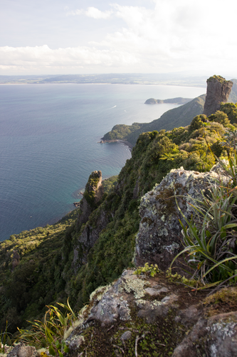 Mount Lion Track